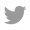 Grey Twitter Icon